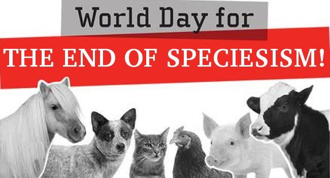 Have You Ever Heard Of Speciesism? (Αction For The WoDeS - World Day ...